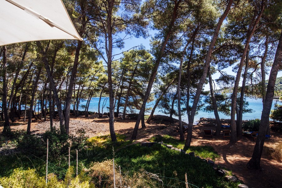 House in the first sea line for purchase in Croatia.