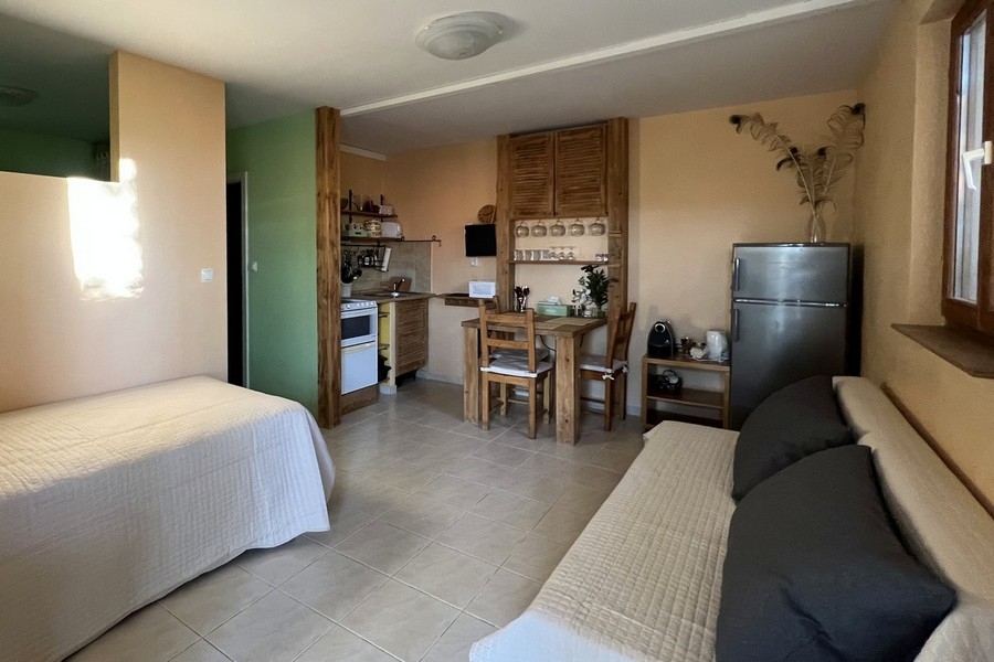 Studio with kitchenette and sleeping area