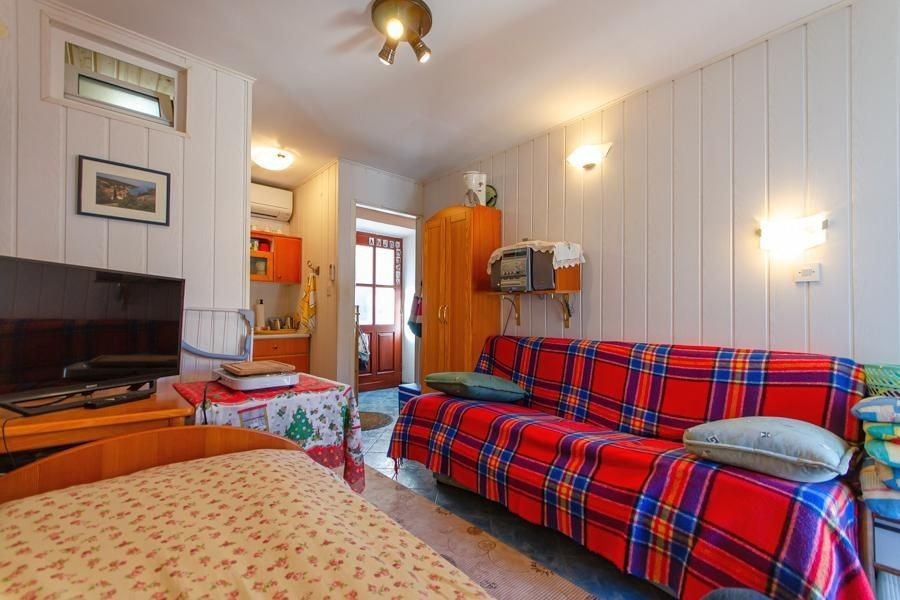 Living area with sofa and television