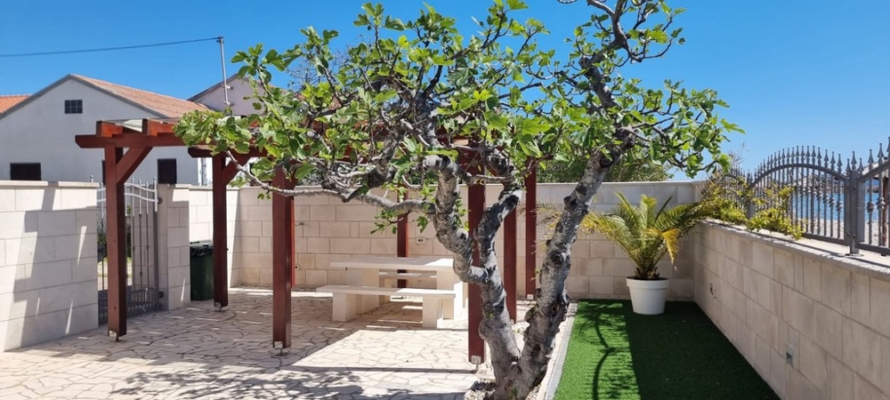 Outdoor area with fig tree, terrace and pergola near the sea