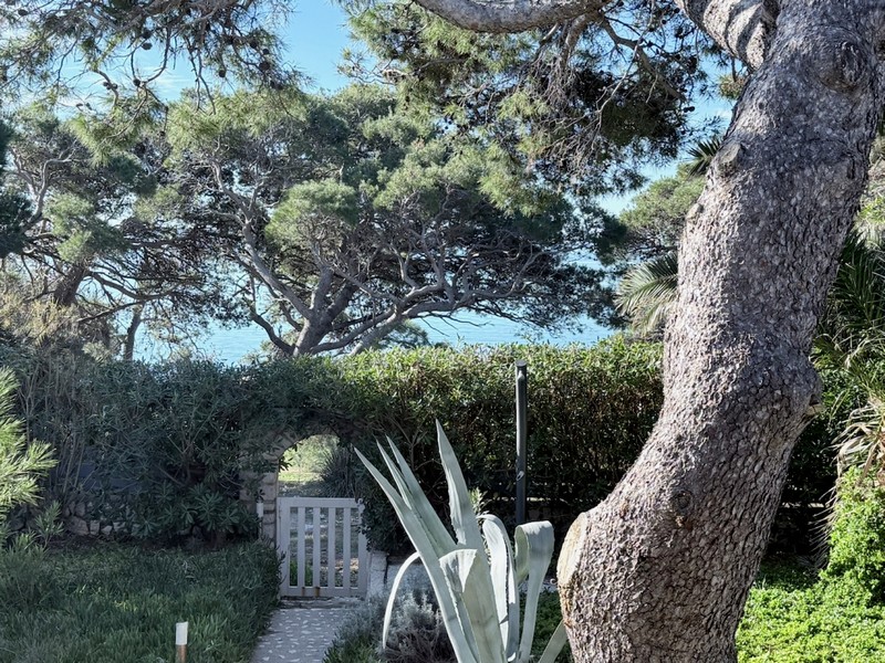 View of Mediterranean surroundings and the sea.
