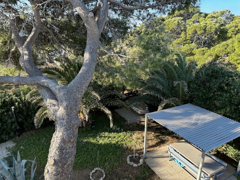 Garden with Mediterranean plants and shaded outdoor seating area