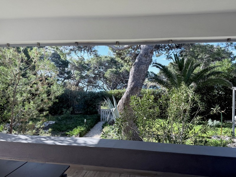 View from the balcony into the green garden with old trees and privacy