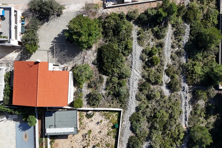 Property with house and surrounding vegetation from a bird's eye view