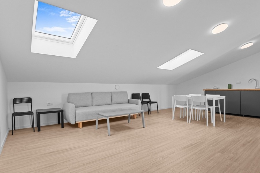 Attic with living area, kitchen and skylights