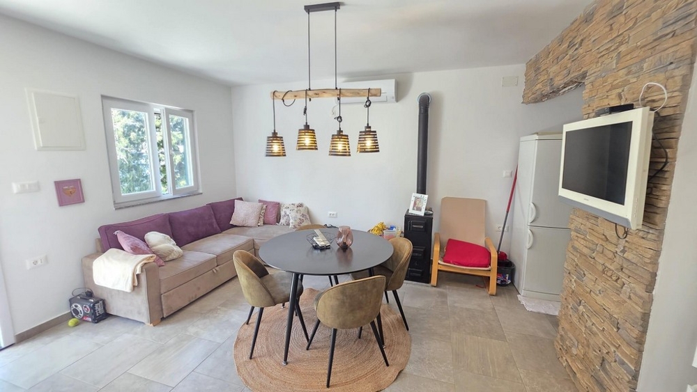 Living room with fireplace and modern furnishings