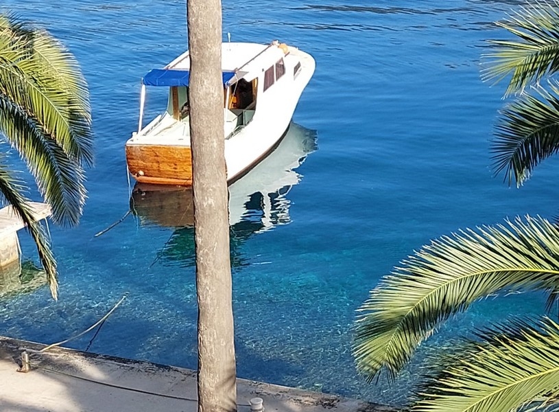 Buy house by the sea Korcula city center - H3906.