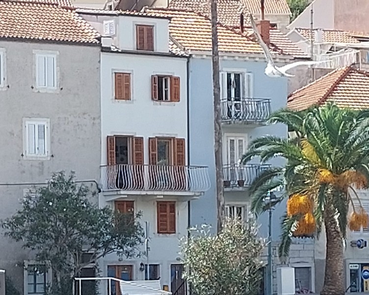 Buy a house in the center of Korcula - Panorama Scouting H3906.