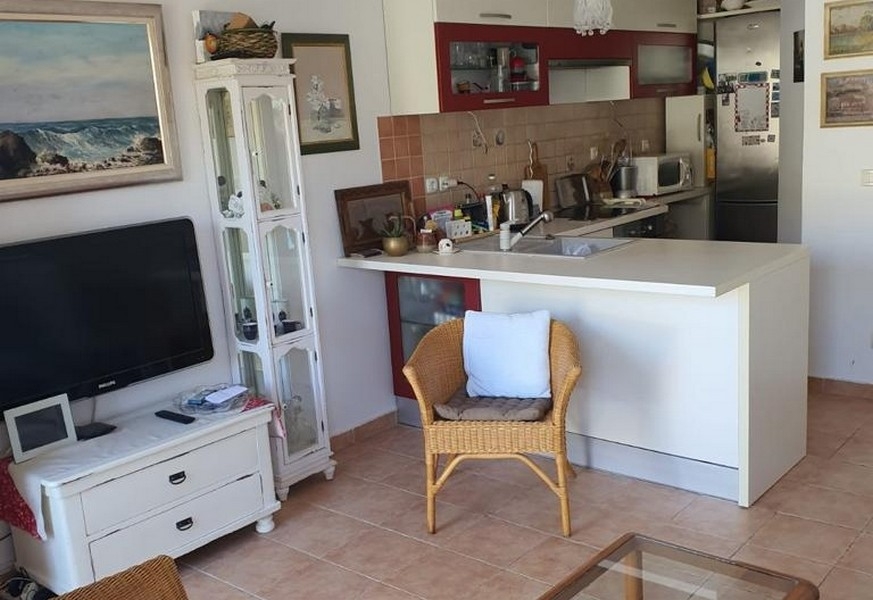 Open living area with kitchen and counter