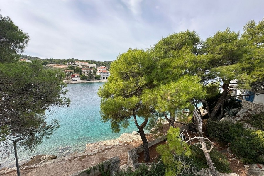 Coastline with pine trees and clear turquoise water
