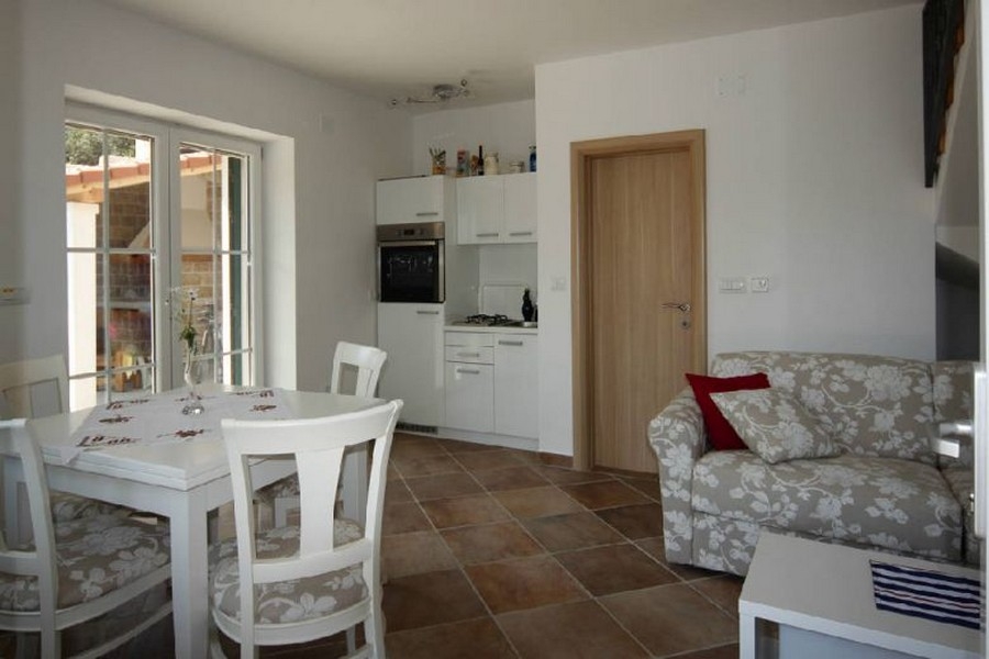 Open living room with kitchen and seating area