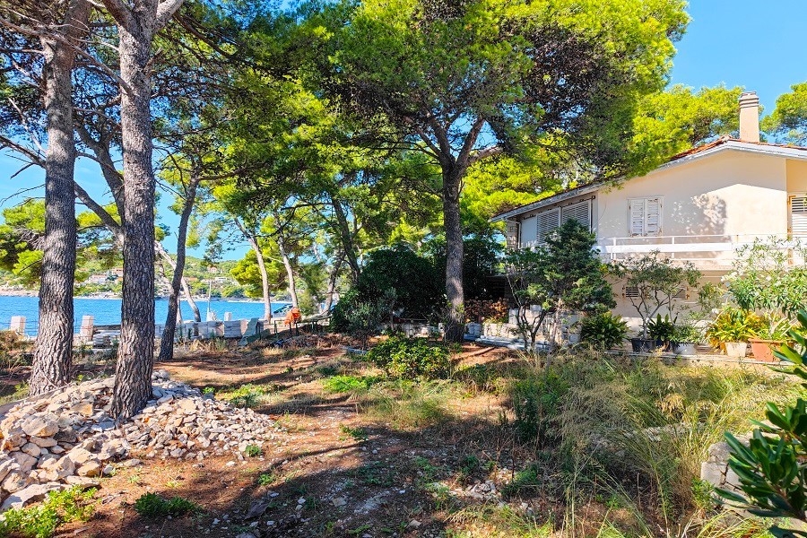 Mediterranean house under pine trees by the sea - property H3921.