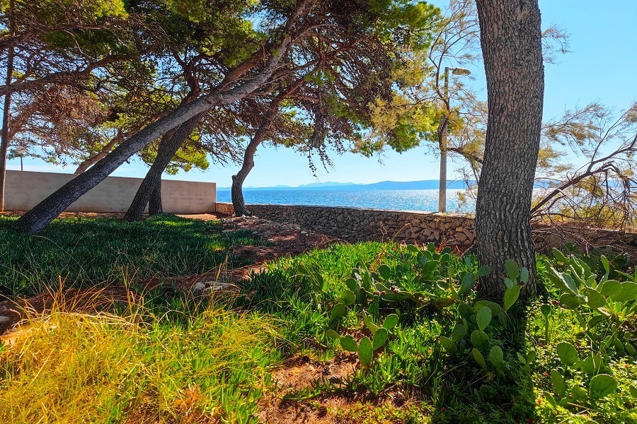 Coastal location with rocky beach and bay views