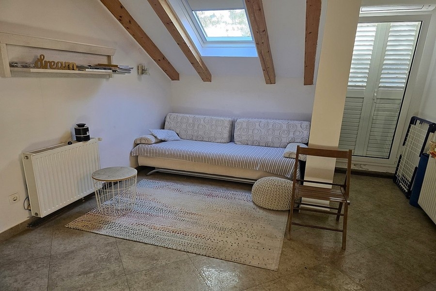 Living room with sofa and skylights