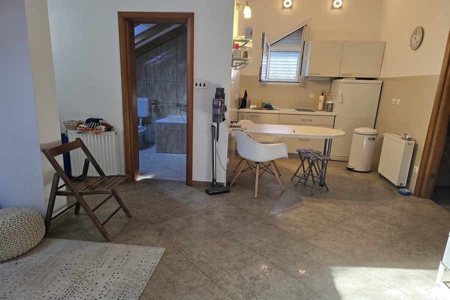 Open living area with kitchen and dining area