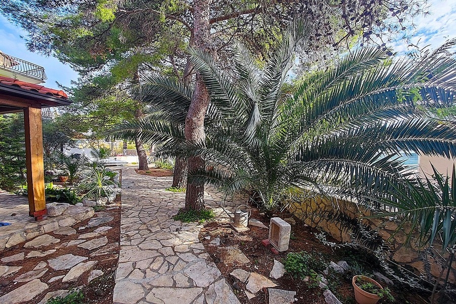 Mediterranean garden with natural stone path and palm trees