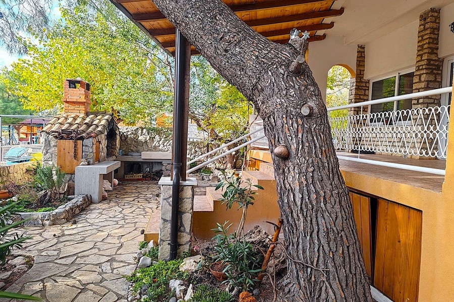 Terrace with wooden roof and barbecue area
