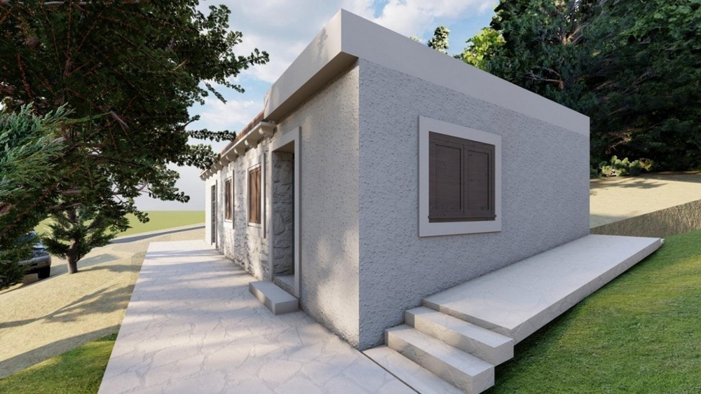 House view with garden and driveway in a natural setting