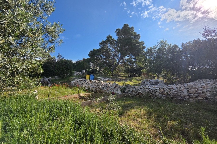 Property with olive trees and natural stone wall