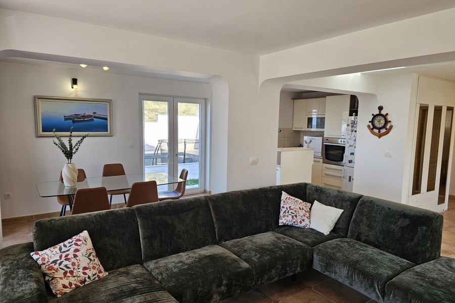 Open living area with kitchen and living area