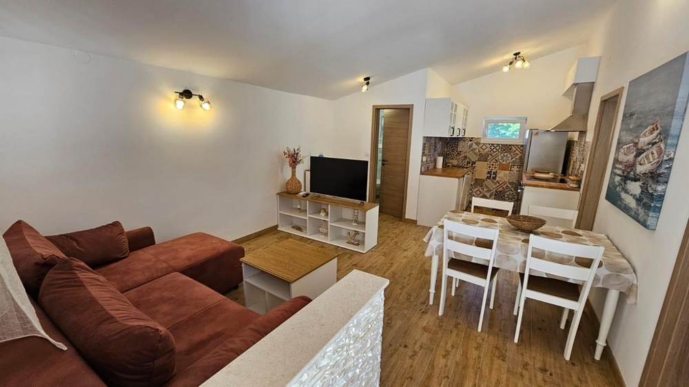 Living area with kitchen and open space concept