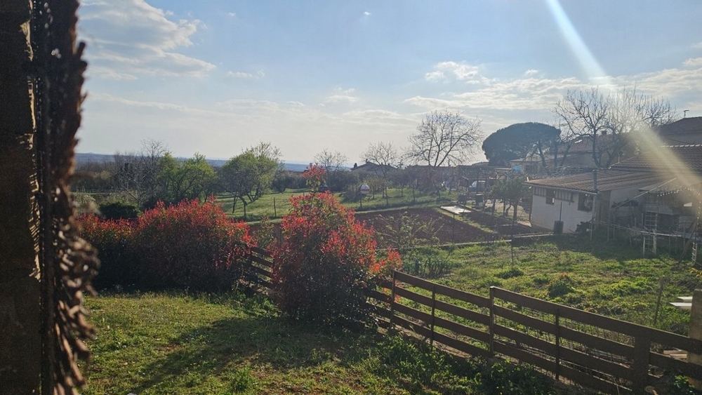 View over the garden and green surroundings from the house