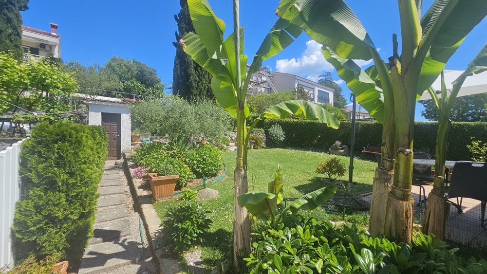 Well-kept garden with Mediterranean plants