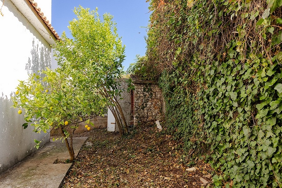 Mediterranean garden with stone wall