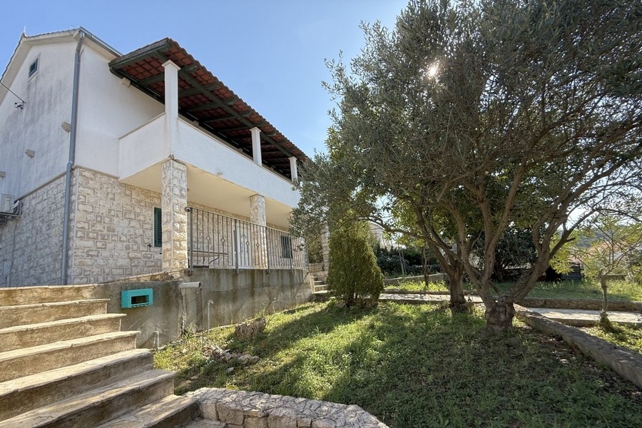 Exterior view of the house with garden and olive tree