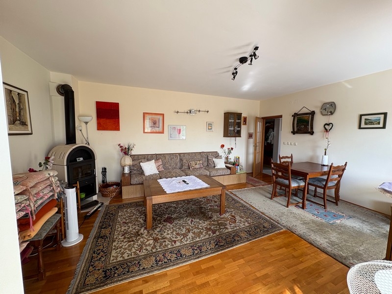 Living area with dining area and fireplace