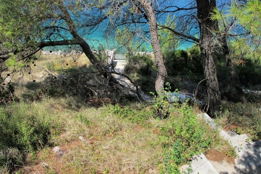 Plot with pine trees and sea views in Croatia