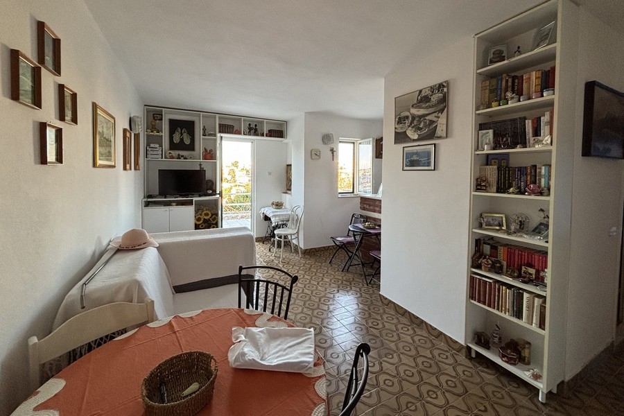 Living room with bookshelves and television
