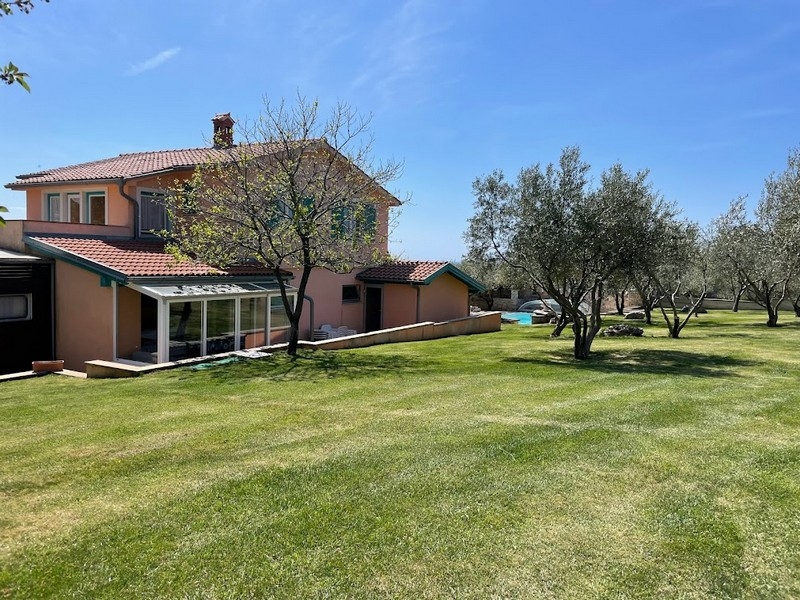 House with a large garden and olive trees in Croatia