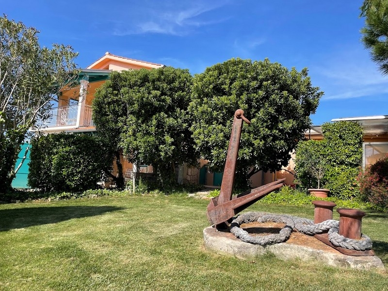 Well-kept garden with a tree at the house