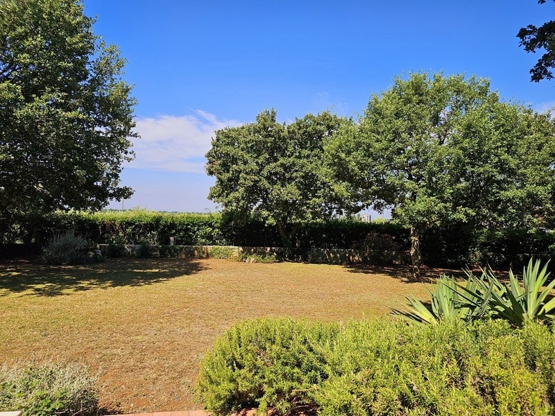 Spacious garden with hedge and lots of greenery