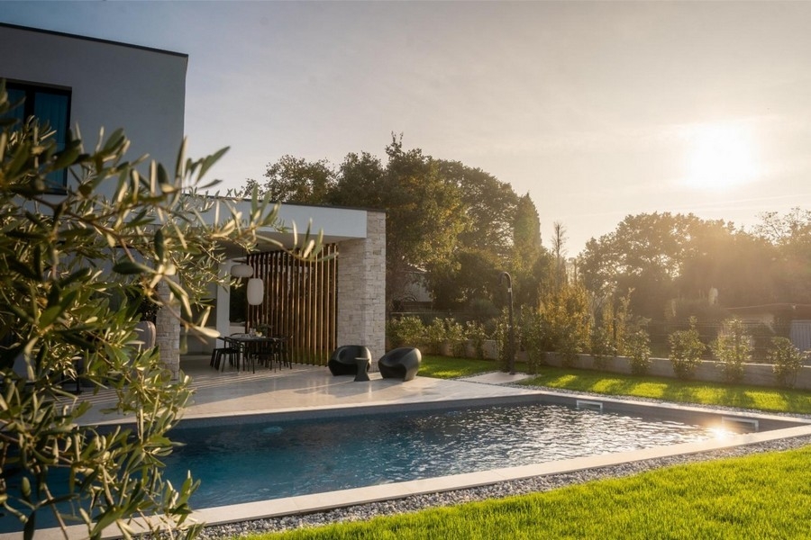 Swimming pool with olive tree in the evening