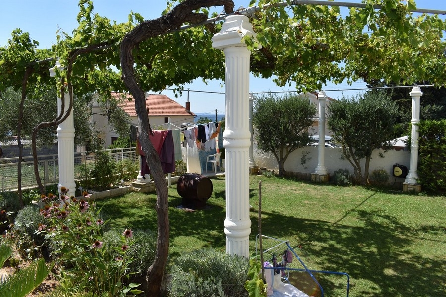 Pergola with vines in the garden