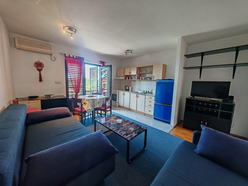 Living area with open kitchen in the apartment