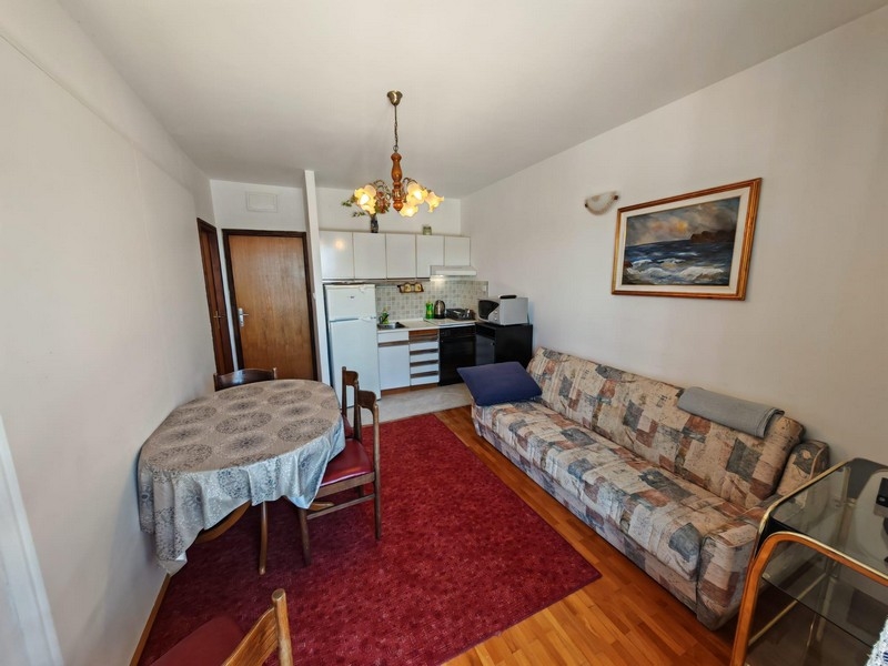 Living room with kitchenette and sofa in Croatia