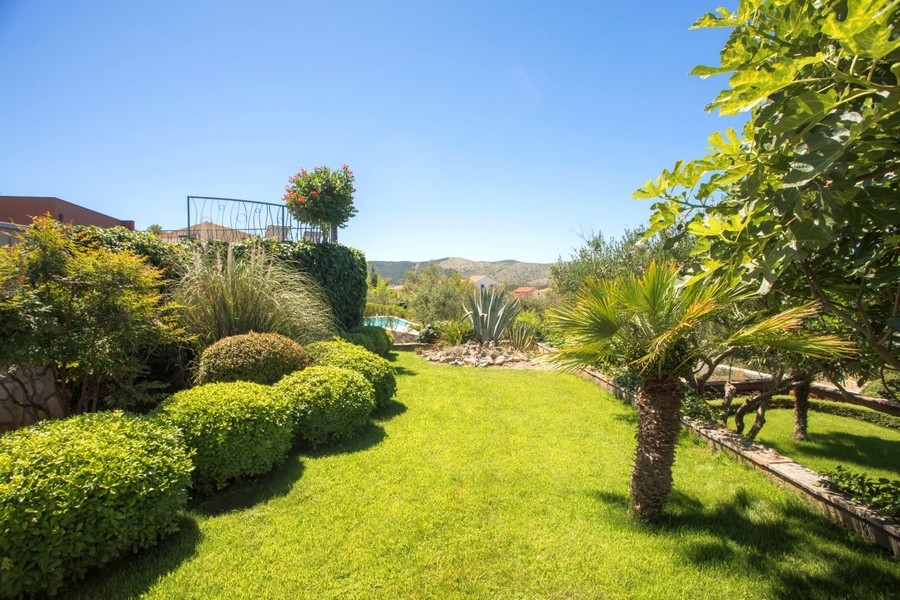 Mediterranean garden with well-kept lawn