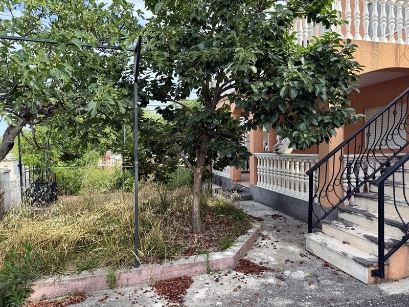 Garden with fruit trees and external stairs