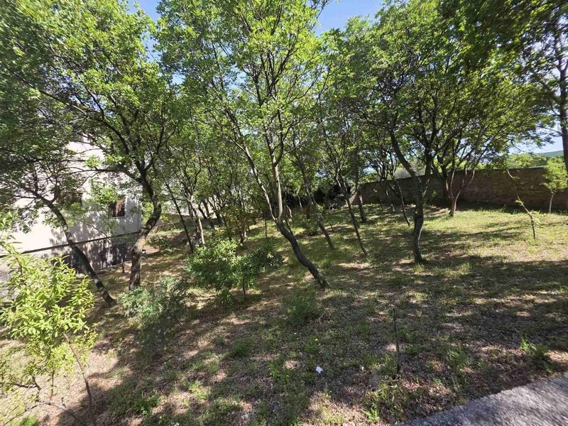 Large property with garden