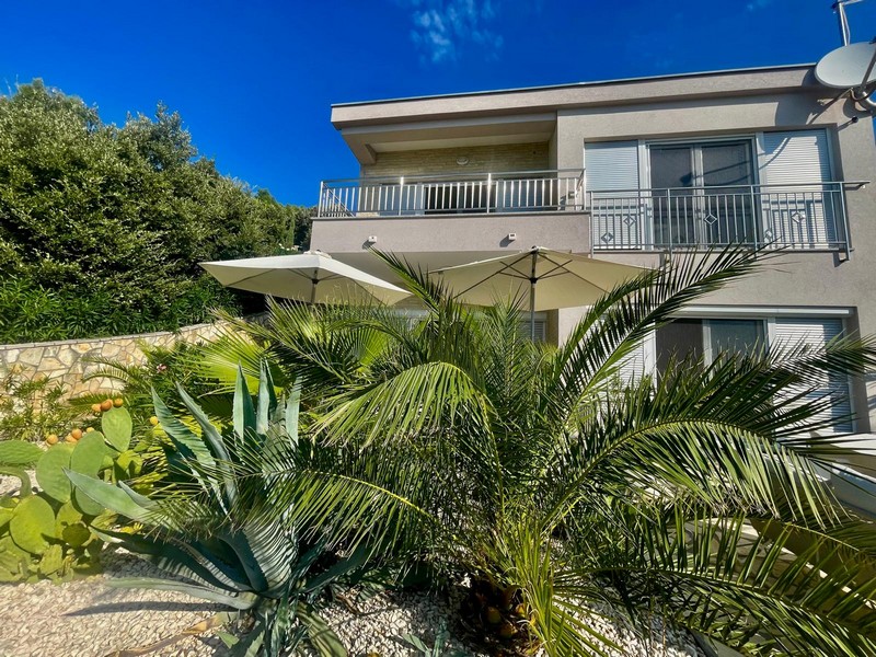House view with palm trees and parasol