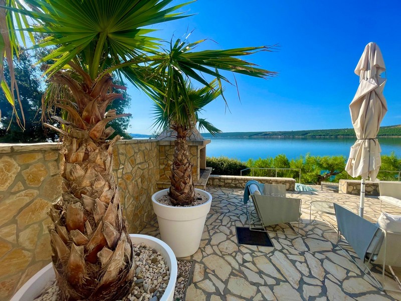 Terrace with palm trees and sea views