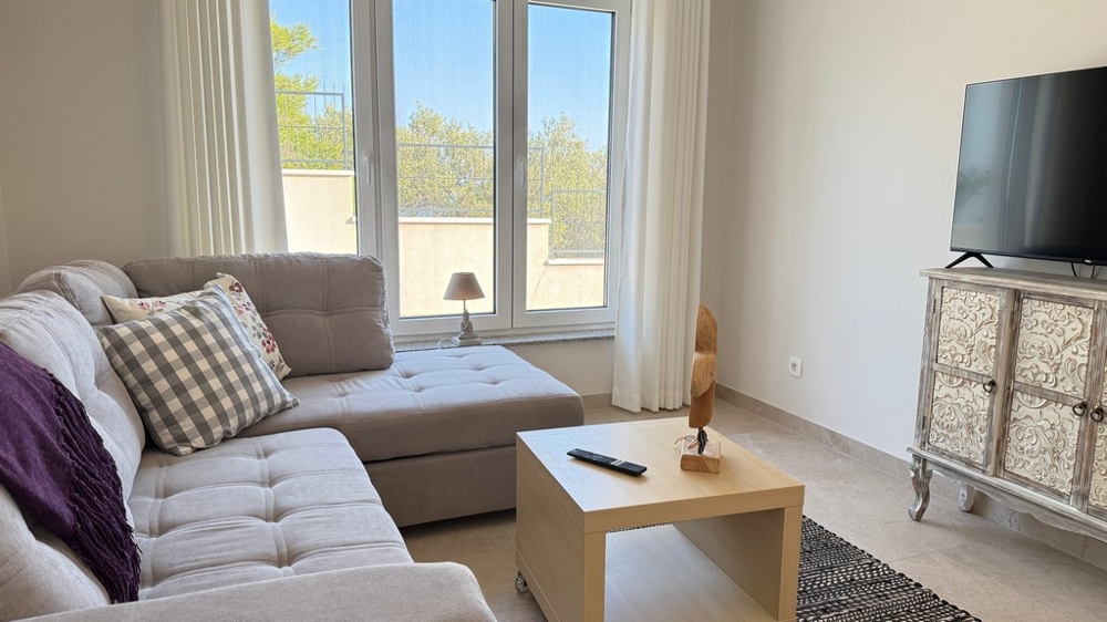Living room with sofa and TV