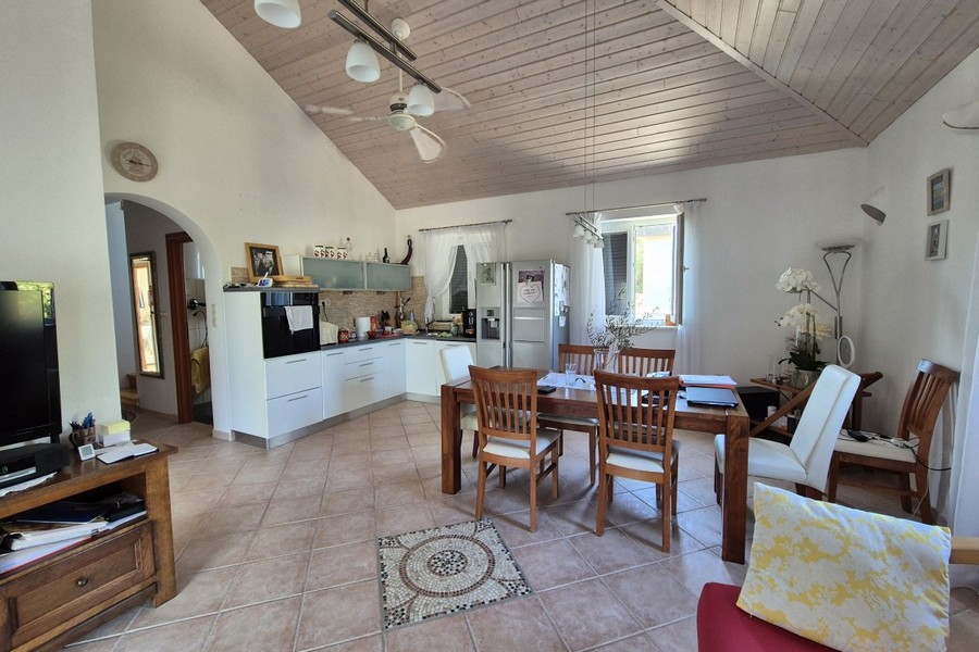 Open living area with kitchen and ceiling fan