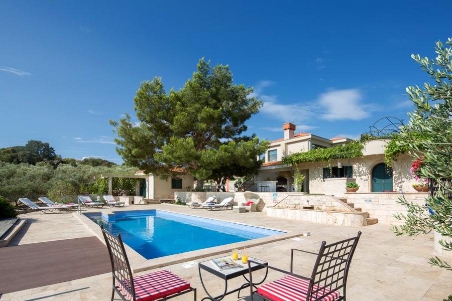 Swimming pool with sunbathing area under an old pine tree