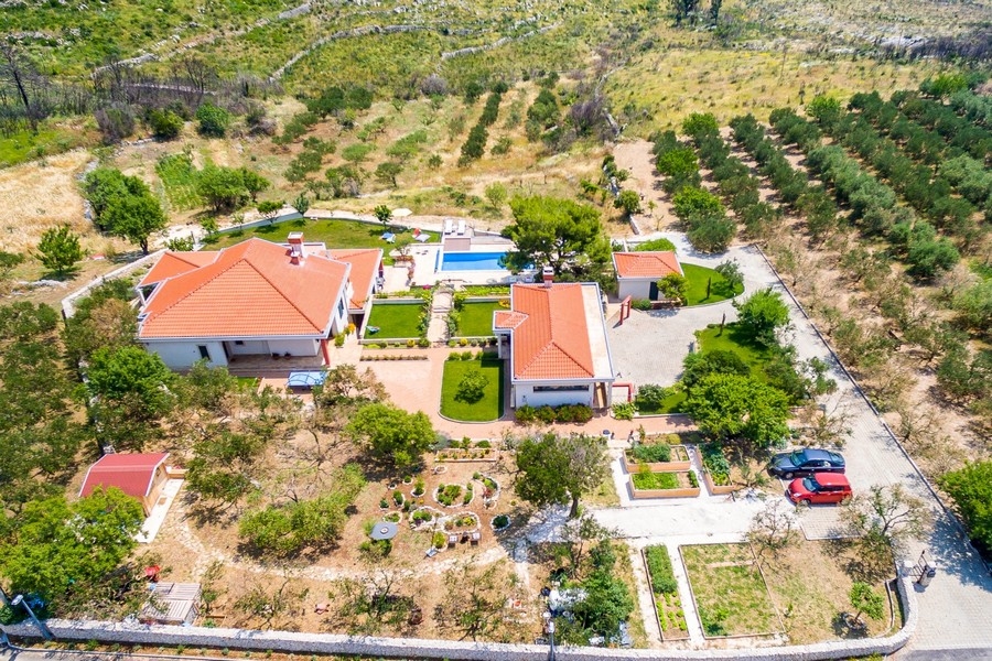 Aerial view of the property with olive grove