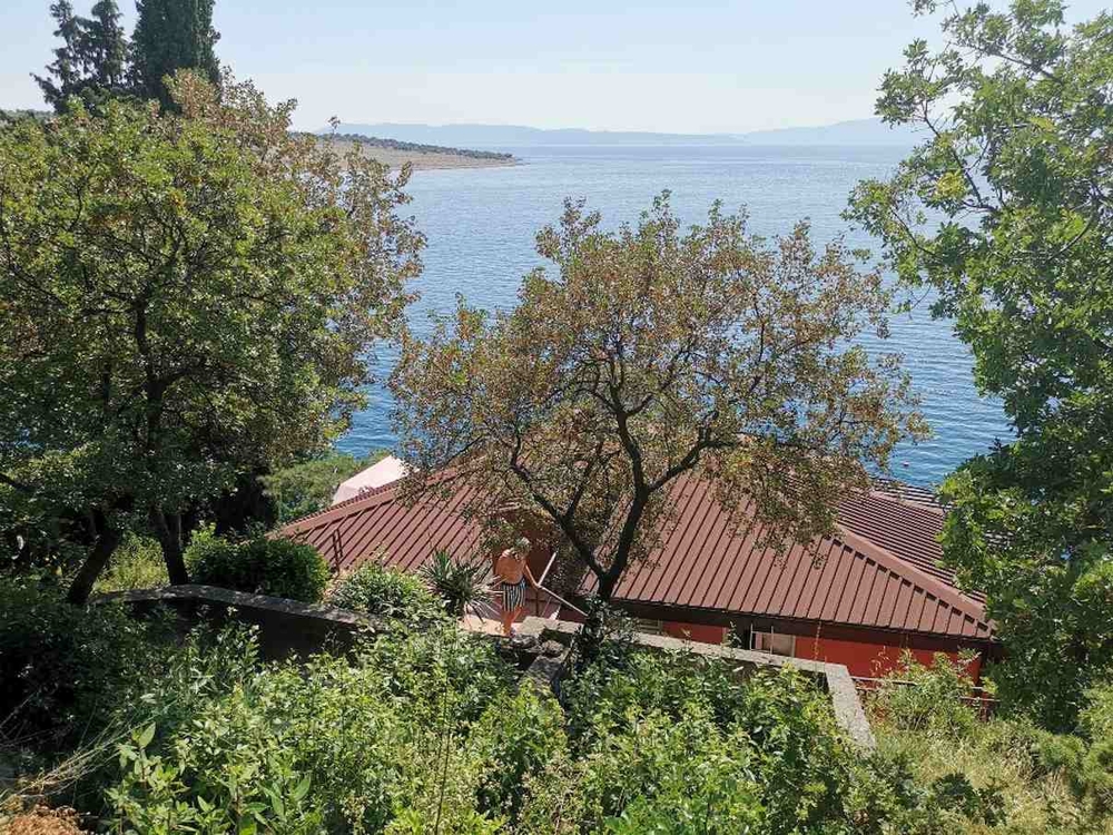 View through trees to the sea and the roof of the house