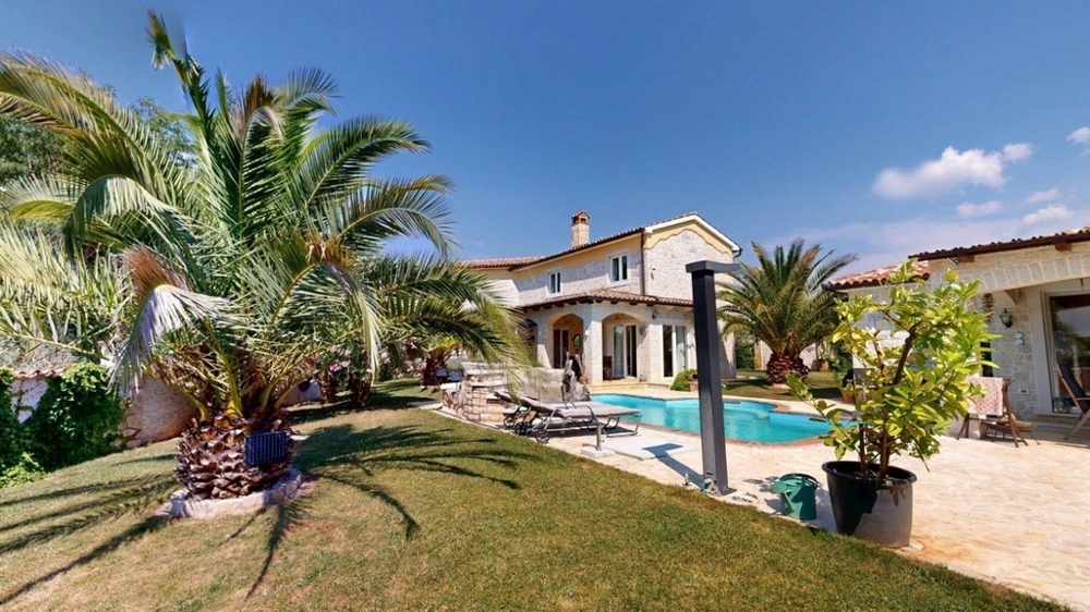 Mediterranean garden with palm trees and pool in front of the house